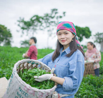 tra-1a-7414-1531982111 Bích Ngọc quyết tâm từ bỏ công việc văn phòng trở về làm trà. Ảnh: ngoctra.com